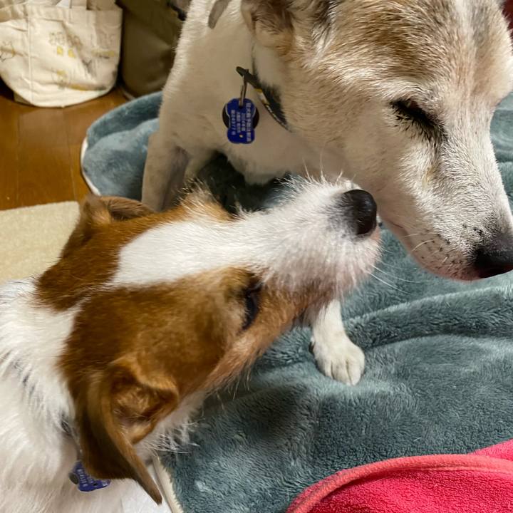 489f6d31 1b84 4a39 98a8 bf092681ebe1 1731097527424