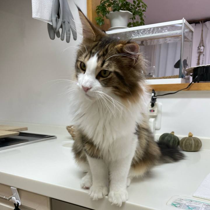 489f6dca 2001 47a9 8763 54801082e1d1 1638954835852