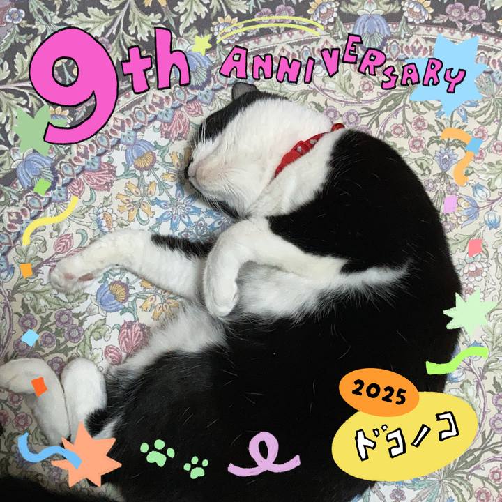 489fdd2f ca33 4385 b53f 4a5e8c2a0c5f 1749434670375