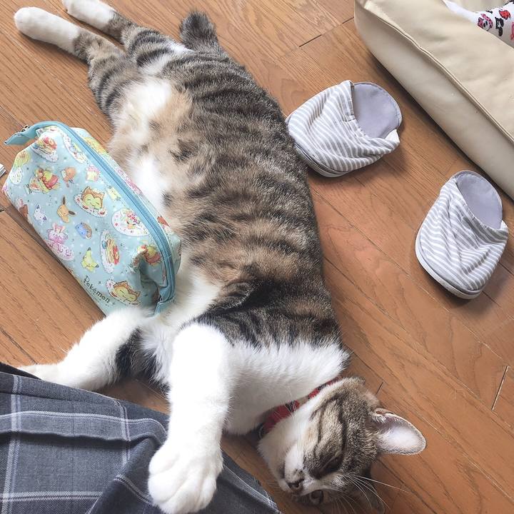 489fe9a8 9913 47e6 a9d6 8f90d71e85fd 1565392170204