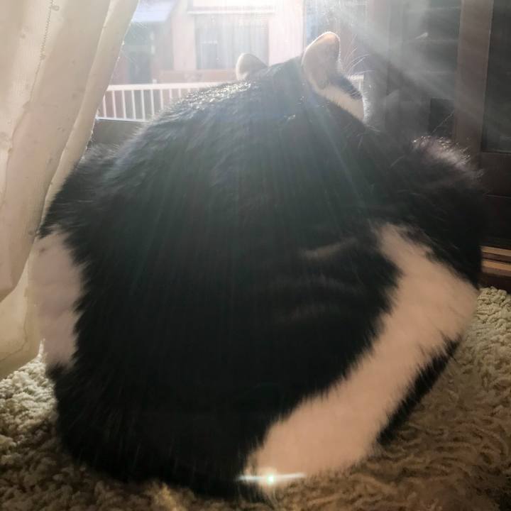 489fec11 cd68 4d77 85cb 3324bd28032b 1516411261746