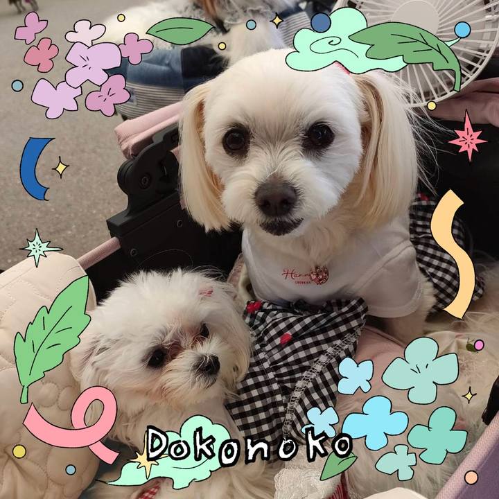 48a049d7 914e 4016 90ab f98599519e12 1717642812536