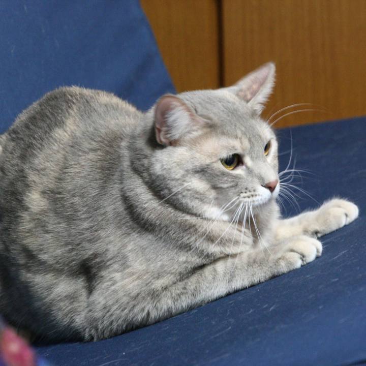 48a08d47 58f4 4f4c a947 b5dd54dbf359 1511657367594