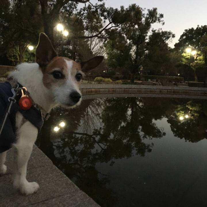 48a0c3bb ed21 49ed b5fa cc5ea3b42b34 1612053114931