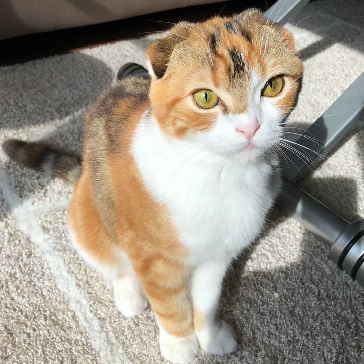 48a12453 cbe5 45e8 8aec 4b98bced382c 1517622998568