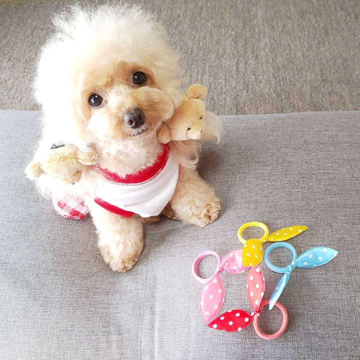 48a15be2 f266 4e3a b32a 599133d68c9d 1568277514184