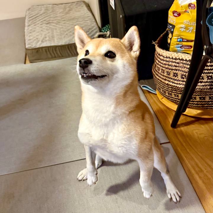 48a18899 e81e 4b92 97f7 6a5c53fd1479 1764304191485