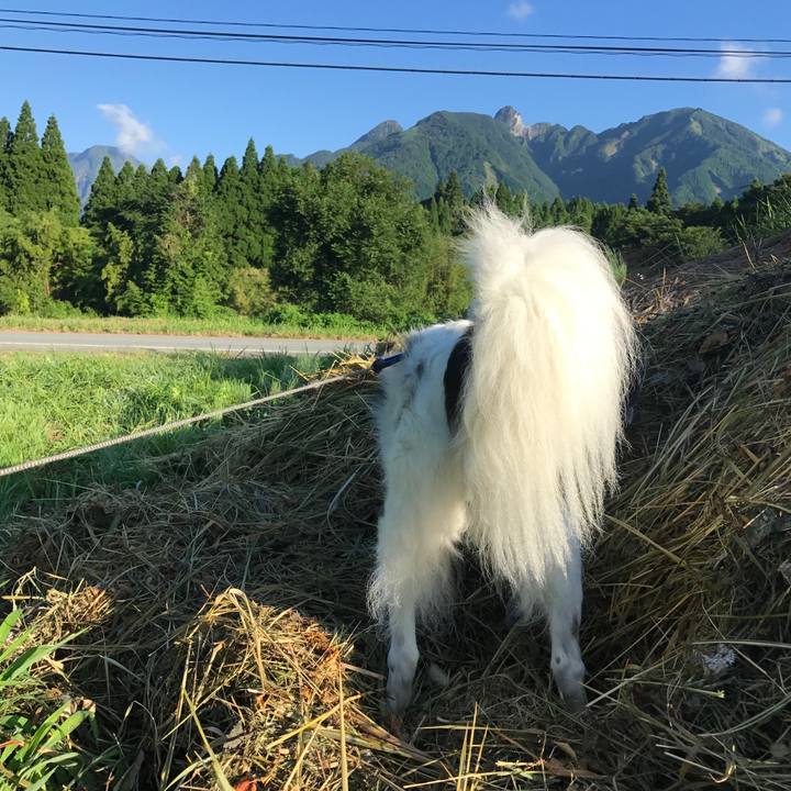 48a19a9b 8f05 41df bb01 2b0bf0a0ab2d 1533909935344