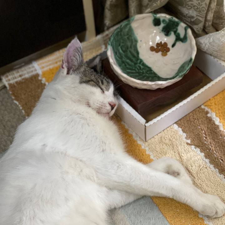 48a1a077 c8c8 403f 8268 beb24e41cccb 1598664672898