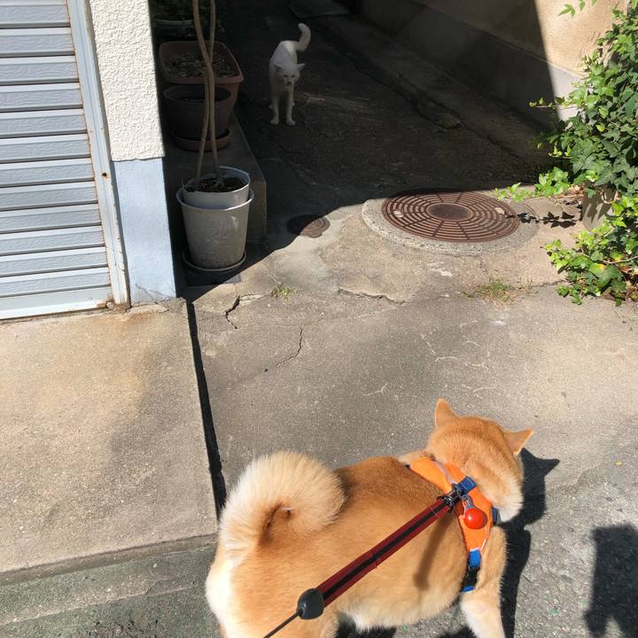 48a1fbe9 53e6 4e28 88e6 a4814006f587 1571065034391