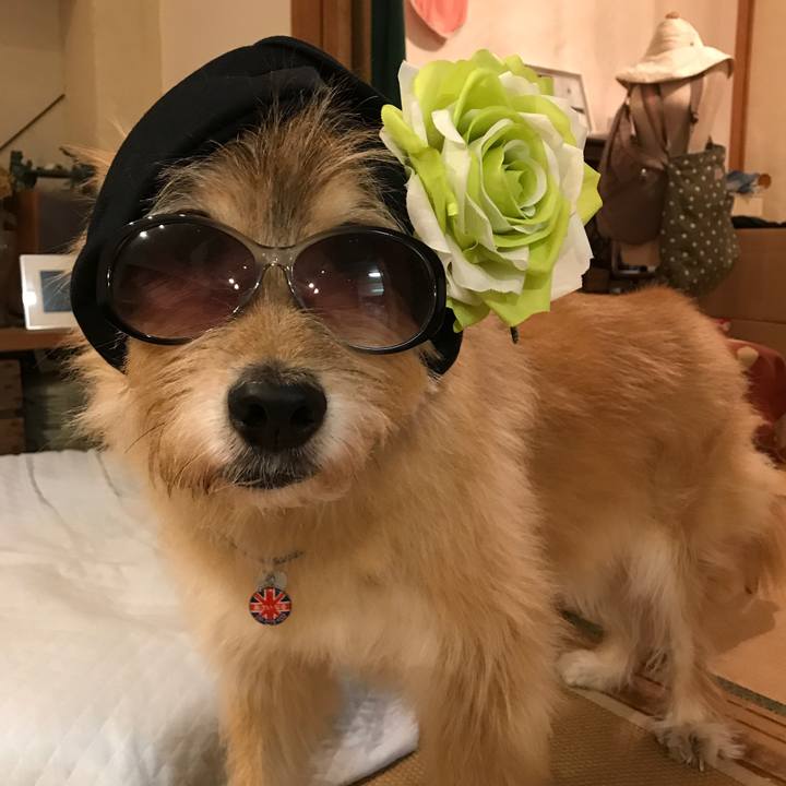 48a2009a 09cb 4808 9235 d0d0a0b655d0 1635852961648