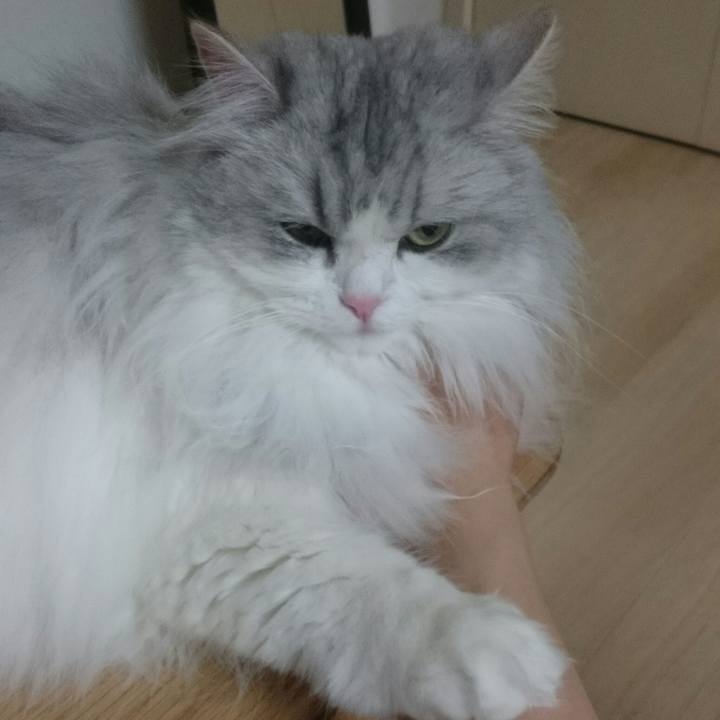 48a2032e f54c 407f 983c c4374e998115 1528031886708