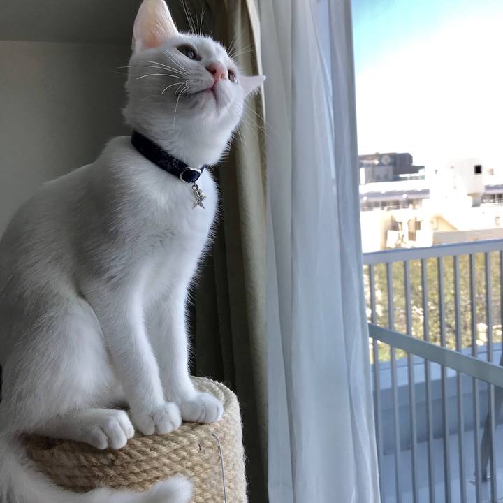 48a2075e 9483 4ce9 87dc 6d2077101cd2 1570932592992