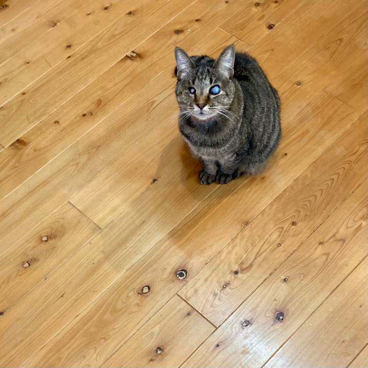 48a207c0 ba5e 4e01 a657 7e5297161eff 1643103502324