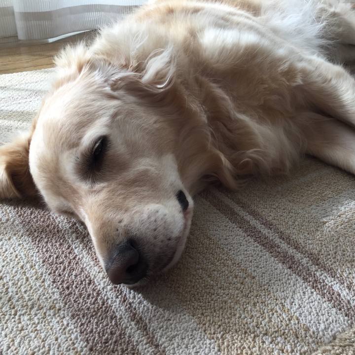 48a211fb 8b9f 4ab0 93eb 156f72823468 1509494407023