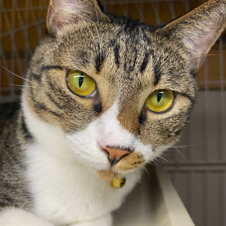 48a21599 cf7f 4214 8434 55ccf6e0e330 1689493306043