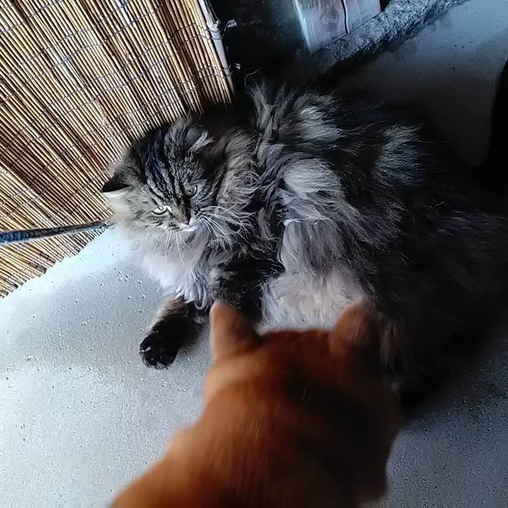 48a25925 eff8 46dd 8895 b3f2ebd59bff 1649486159012