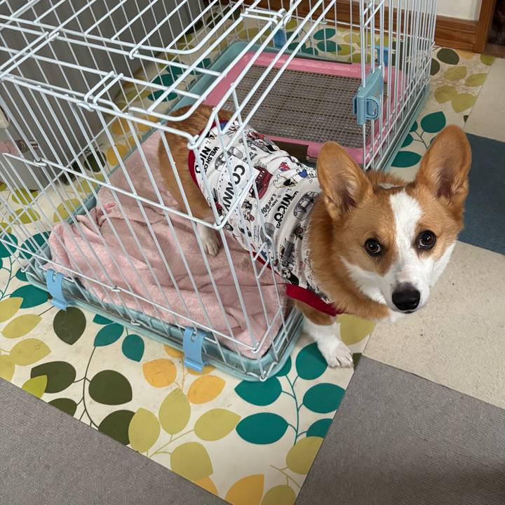 48a2611f 31d7 4b5d 97f5 57b4a29328b1 1761289055086