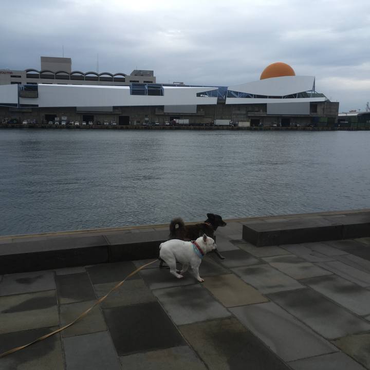 48a279cb bb51 45dc 9a56 09461eb3ebdc 1545969923937