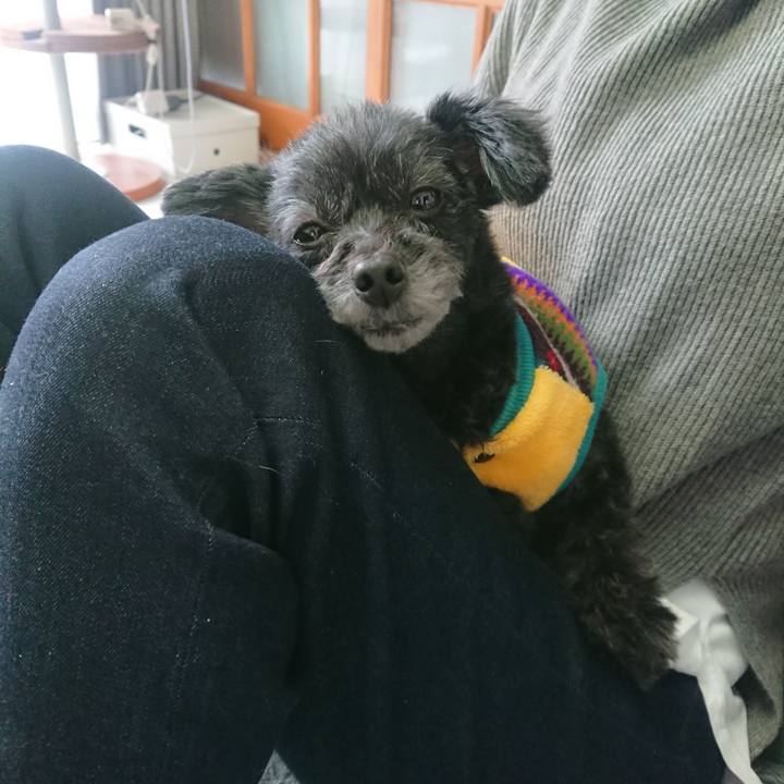 48a287a1 7421 4312 ab88 bd695772f6aa 1610862320985