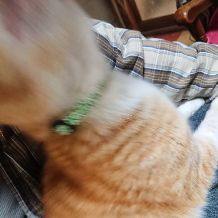 48a2cee0 d572 4fba abb2 2d58fd309041 1580899857525