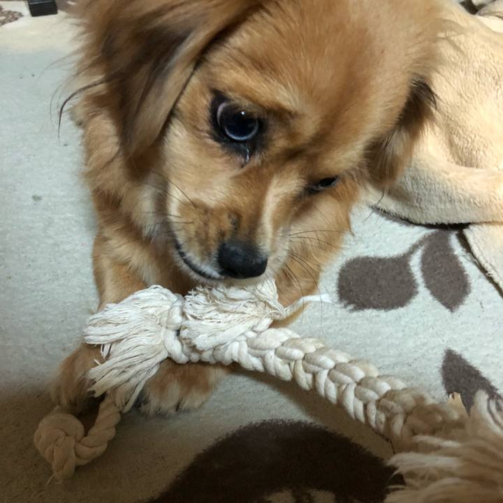 48a2f75d 11cf 43de 9c90 027c9de6b8a4 1510090967237