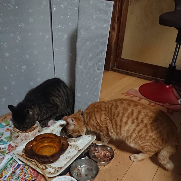 48a2fe6a 557c 471c b946 8351a3895043 1649066340393