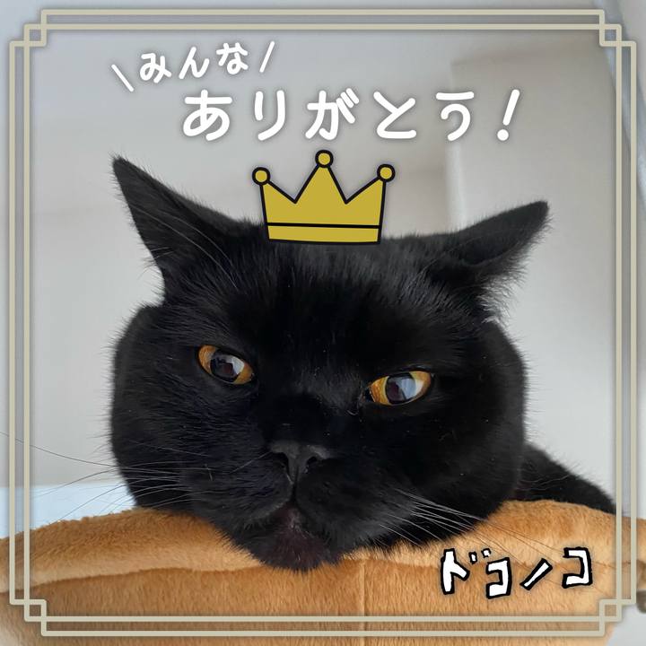 48a30dab 179c 4728 a2f0 1d883a3e52b5 1622861806215