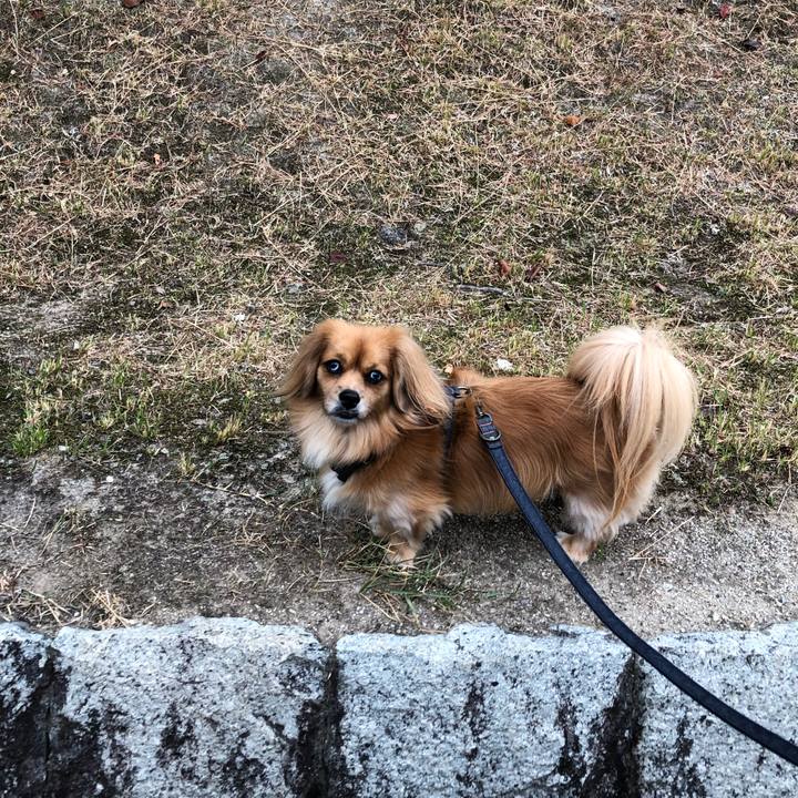 48a31b92 0255 49b2 abe5 72f37d0b6d56 1570747205673