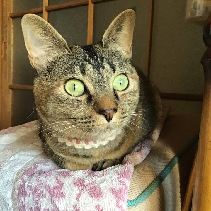 48a349d7 f688 45b7 978d 89b12378bfaa 1654124203685