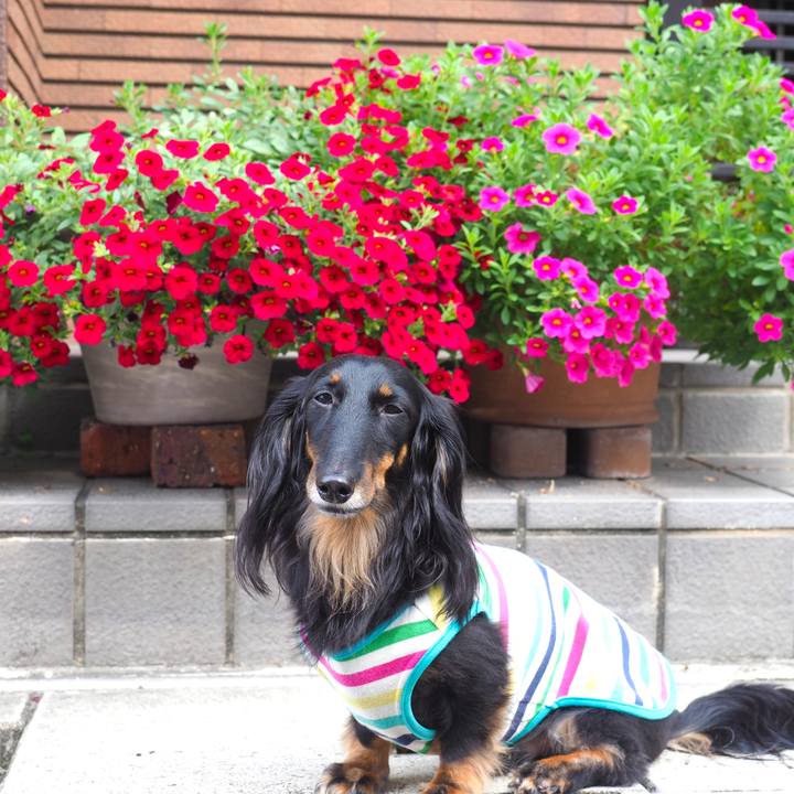 48a39031 f395 4891 8e3d a6d069dba01d 1632462378127