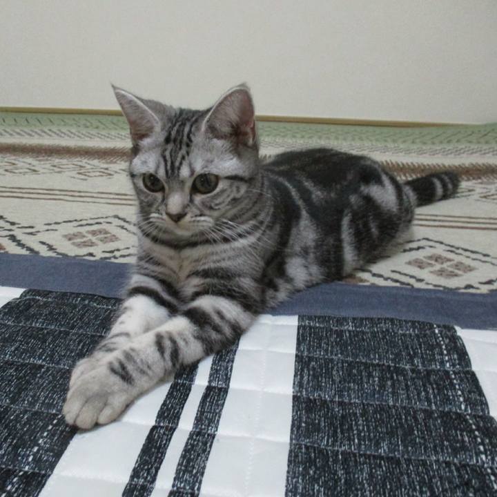 48a3bad8 f802 4d0c 8da4 42614a1dec92 1544706625814