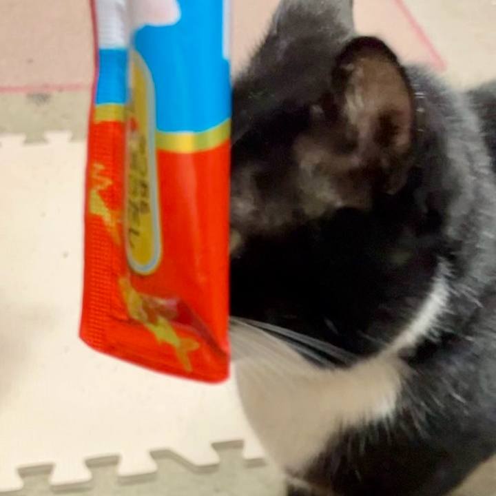 48a3d813 e9d5 40e1 99b0 14555d92040a 1739497395635