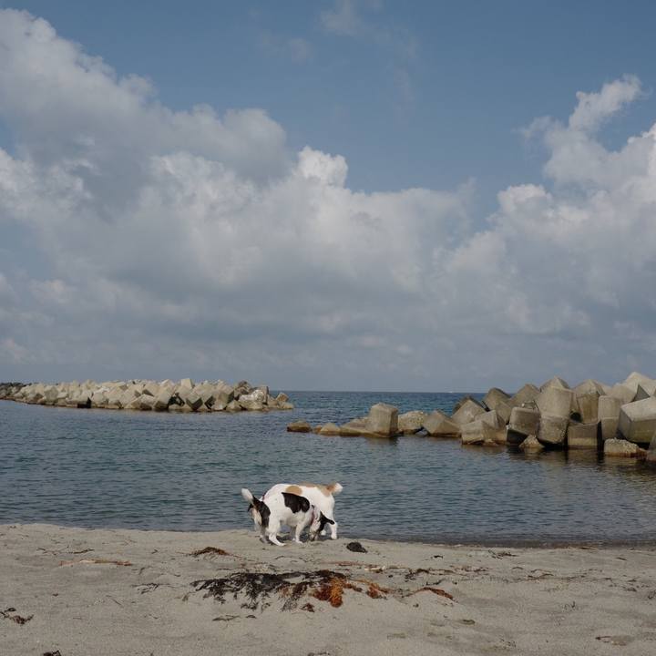 48a3e1a7 e9c0 423e b89c acbf128c1d97 1559366614123