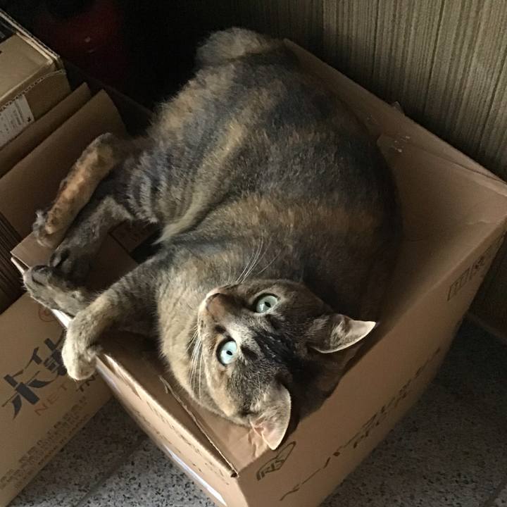 48a3fb01 7ee4 4cac a99f a0b99017aca7 1660130105679