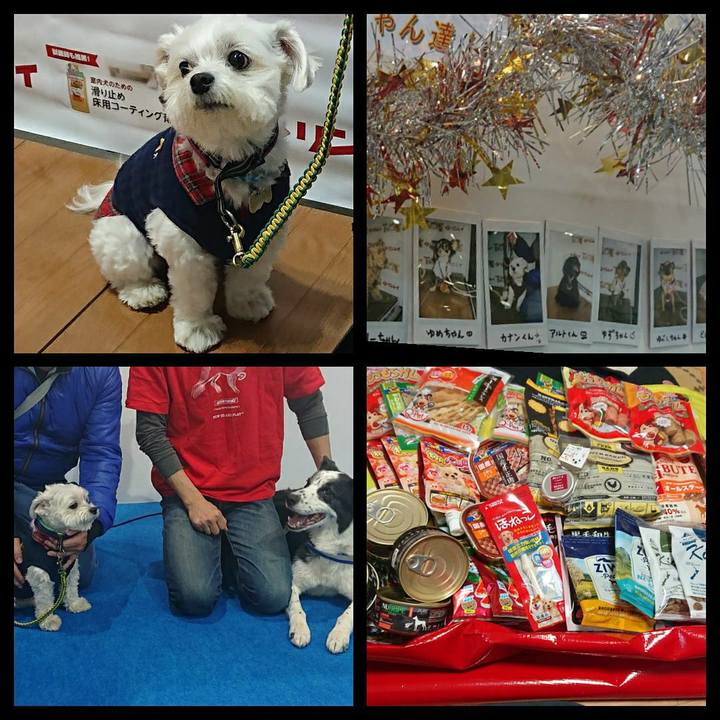 48a3ff42 f83d 4519 9569 6a12107adf62 1553931276868