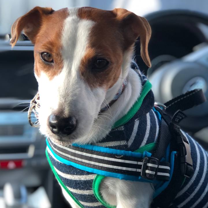 48a4d861 3899 4453 a8a7 d89d943f10ca 1637058969893