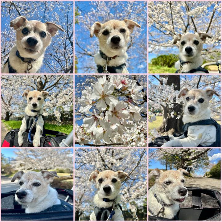 48a4f5ce 49de 44a4 bf40 26d3bef6f558 1743751227014