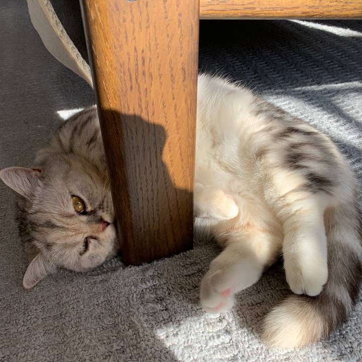 48a53892 378b 4ec6 8bc6 33e58ad5536a 1710718205185