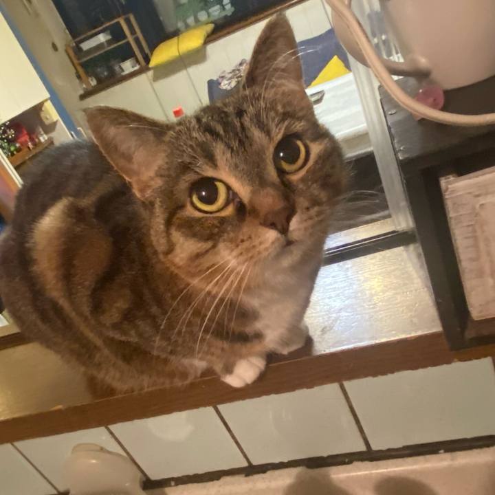 48a5472e d80f 4136 9159 e60ef5fc00c5 1622818065455