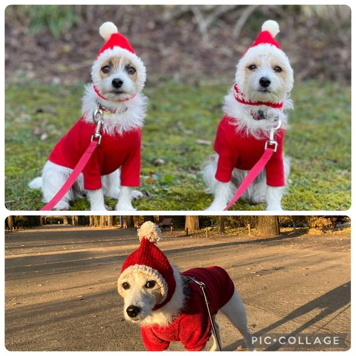 48a5686c bded 4559 b838 3d5ae84cb805 1737069748842