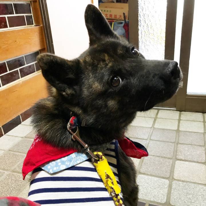 48a5a8fa d117 4038 b570 b87b53a6091a 1508116323017