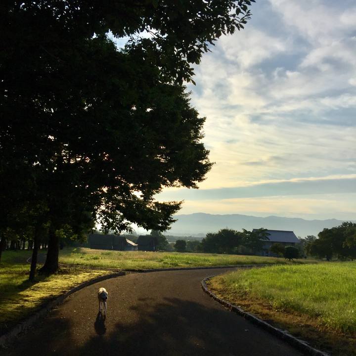 48a5a9cc c4dc 4fc2 a99b b27916888efe 1561614577072