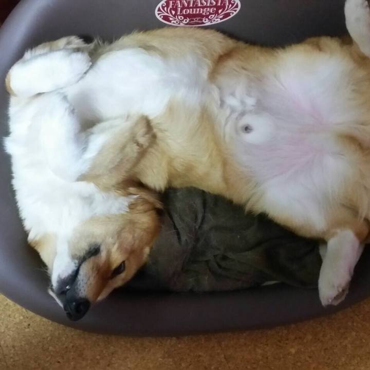 48a5cb05 d3b3 484b 8a48 21f2b0d1b57c 1588214724843