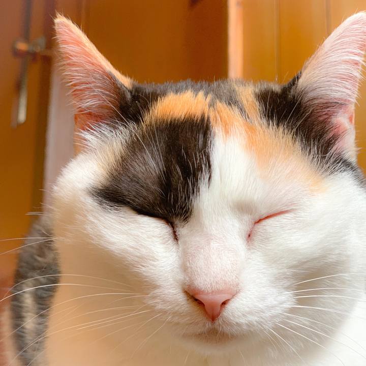 48a5d8a4 aa84 4ed6 b626 3d6a29b0ab21 1559957867403