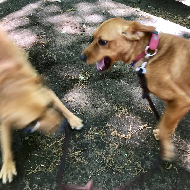 48a5f4d3 4c4d 49da 821a fb326cd7d518 1524883100480