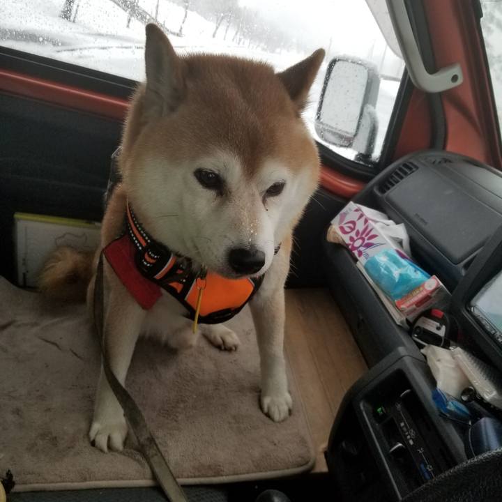 48a60ddf 7126 4d14 b7c4 d73b4be660e7 1637992747040