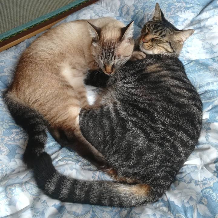 48a646af 439a 4db9 a6e3 c8844d5c1600 1602993463282