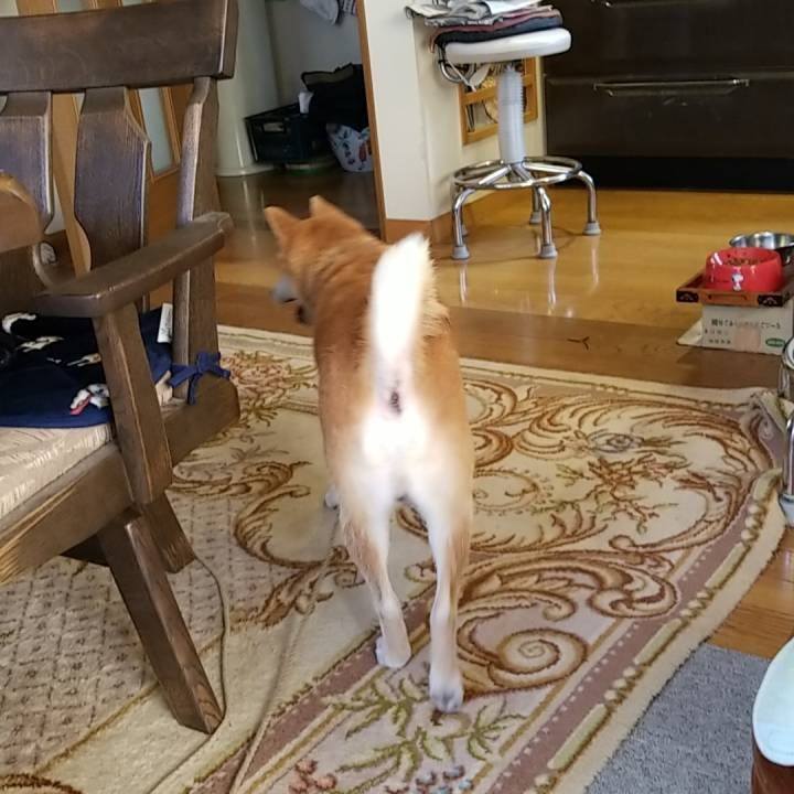 48a68f4f 0426 46f2 93fa b583de72041b 1565044780259