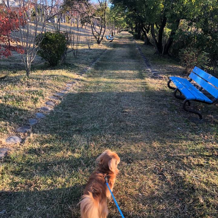 48a6a894 8038 4066 ac7b 1e94498266a6 1542929540304